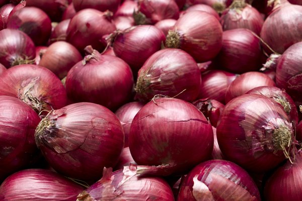 Кракен основная ссылка onion